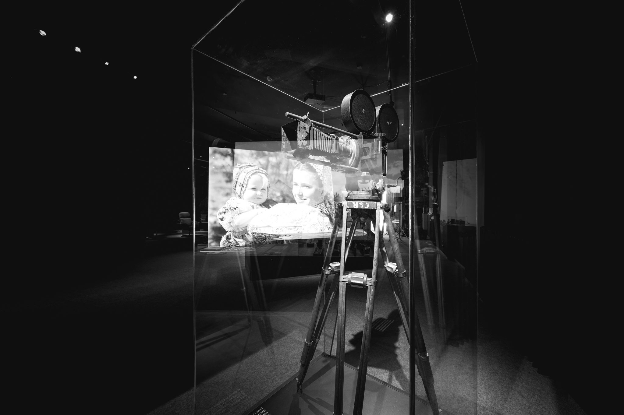 NZ6 2336 DxO DeepPRIME XD2s